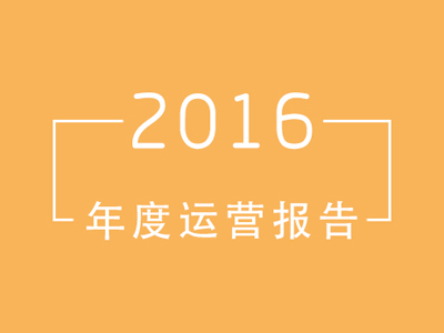 2016年度报告 
